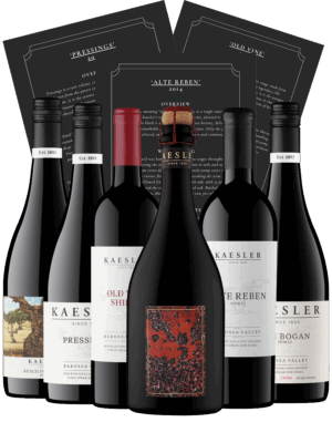 Shiraz Explorer's Pack